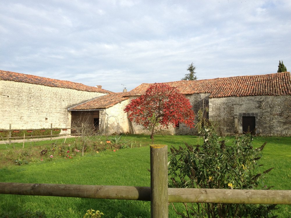 Aire camping-car  Neuvicq-le-Chteau (17490) - Photo 2
